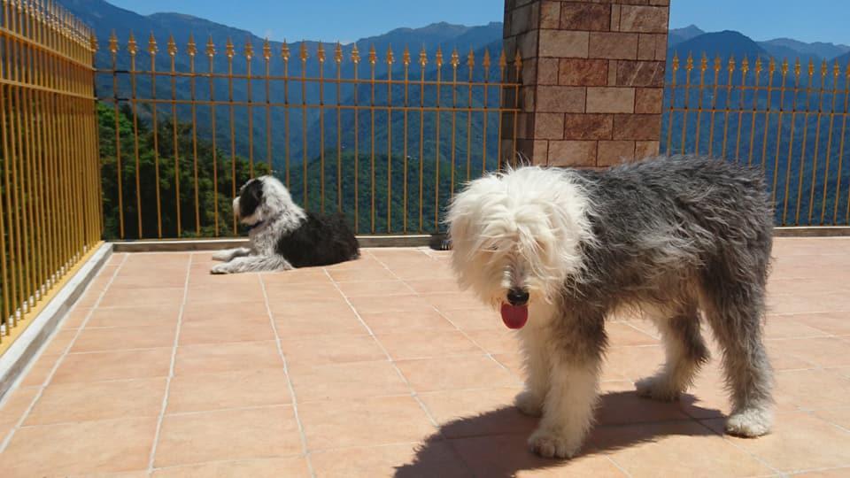 Moose & Squirrel Bed and Breakfast Renai Εξωτερικό φωτογραφία